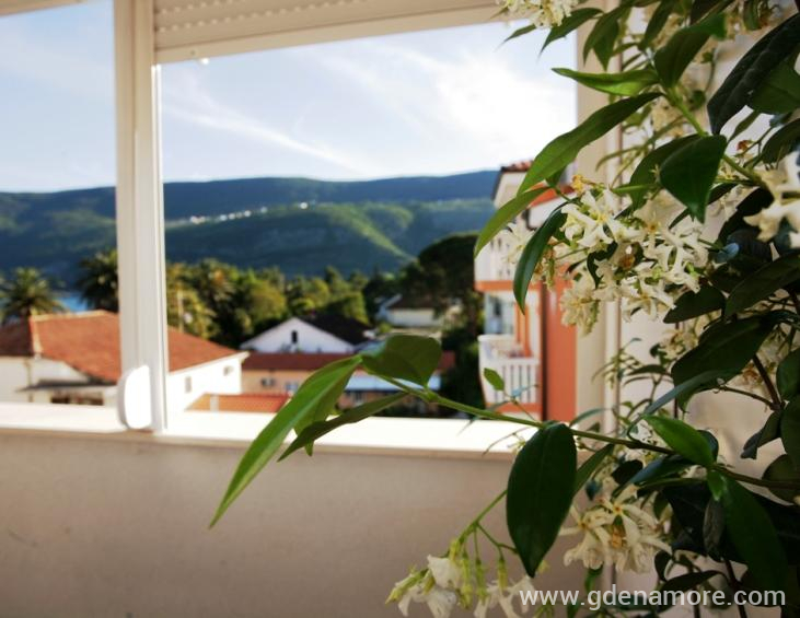 Pogled sa terase Obala 3